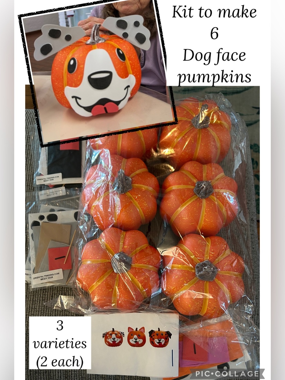 Orange Faux Pumpkin Set with kits to make pumpkin dog face decorations x6
